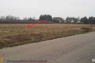 Dębe Wielkie 